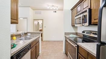 Double sinks with vegetable sprayers